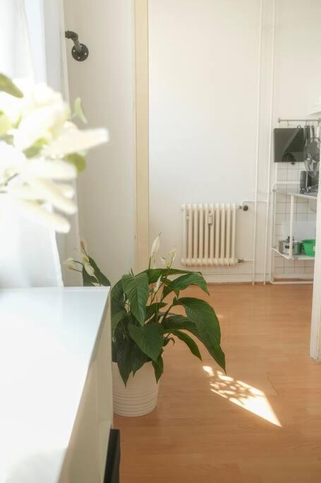 Stadtoase Wohnung Nahe Hauptbahnhof Koblenz  Luaran gambar